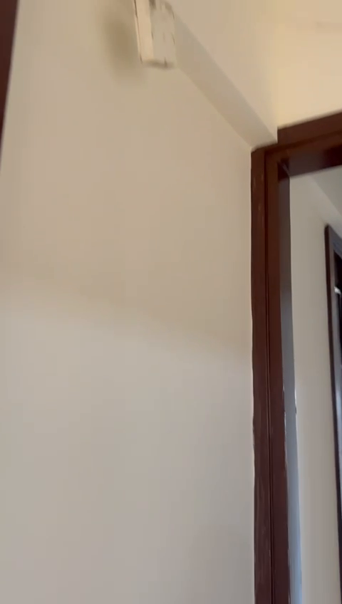 3 BHK FLAT ON RENT 75000